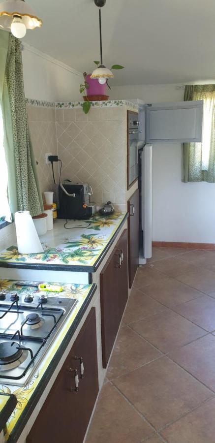Casa vacanza Etna Evergreen Villa Piedimonte Etneo Exterior foto