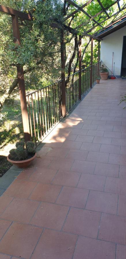 Casa vacanza Etna Evergreen Villa Piedimonte Etneo Exterior foto